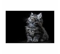 HUYEEI Canvas Quadri, Gatto che guarda in alto, Immagini di arte nordica, Animale Decorazioni Parete per camera da letto moderna decorazione domestica(nero)-80x120cm Non incorniciato
