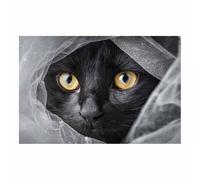 HUYEEI dipinti artistici su tela, Gatto che si nasconde in un velo, manifesti e stampe arte della parete per soggiorno decorazione da parete moderna per la casa(nero)-30x50cm Non incorniciato
