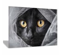 HUYEEI dipinti artistici su tela, Gatto che si nasconde in un velo, manifesti e stampe arte della parete per soggiorno decorazione da parete moderna per la casa(nero)-50x70cm Incorniciato