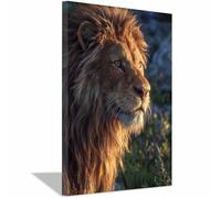 HUYEEI Dipinto Di Animali Leoni che osservano la roccia dipinti su tela, quadretti da parete, Adatto per camera da letto, soggiorno, ecc decorazioni per la casa(marrone179)-70x100cm Incorniciato