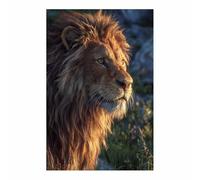 HUYEEI Dipinto Di Animali Leoni che osservano la roccia dipinti su tela, quadretti da parete, Adatto per camera da letto, soggiorno, ecc decorazioni per la casa(marrone179)-20x30cm Non incorniciato