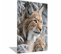 HUYEEI Dipinto Di Animali Linci che donano gentilezza dipinti su tela, quadretti da parete, Adatto per camera da letto, soggiorno, ecc decorazioni per la casa(marrone34)-20x30cm Incorniciato