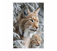 HUYEEI Dipinto Di Animali Linci che donano gentilezza dipinti su tela, quadretti da parete, Adatto per camera da letto, soggiorno, ecc decorazioni per la casa(marrone34)-60x90cm Non incorniciato