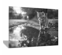 HUYEEI Moderna In Bianco E Nero Fotomurali Gatti sull'acqua Moda alla moda Decorazione da Muro,Design Cameretta Carta ufficio per Pareti Soggiorn(bianco e nero128)-70x100cm Incorniciato
