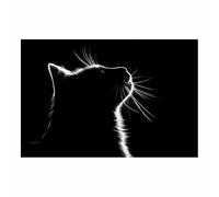 HUYEEI Quadri Bianco E Nero Gatti che guardano in alto Fotomurali in TNT alla,decorazioni da parete, Adatto per camera da letto, corridoio soggiorno ecc.(bianco e nero171)-70x100cm Non incorniciato