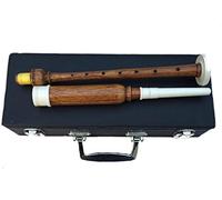 HW Scottish Great Highland Bagpipes Practice chanter naturale palissandro argento importi con pratica di trasporto rigida/cornamusa chanter + 2 ance/Dudelsack/Gaita