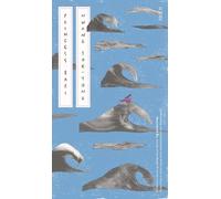 Hwang Sok-Yong Princess Bari (Tascabile)