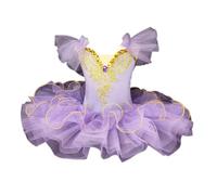 HWBZSZY Professionale Balletto Tutù Vestito Bambini Colorato Lago dei Cigni Ballerina Partito Danza Costume Lucido Paillettes Ginnastica Danza Body Sala da ballo Dancewear per le ragazze,Viola,110cm