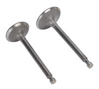 HWGING Set Valvole di Aspirazione e Scarico, Pezzi di Ricambio per Generatore con Motore a Benzina 190F/GX420