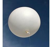 Hwoyee Palloncino meteorologico professionale per video aereo, decorazione per feste e intrattenimento, giocattoli enormi (500 g/500 cm)