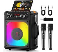 HWWR Karaoke, altoparlante Bluetooth portatile con 2 microfoni wireless per adulti e bambini, macchina per cantare per feste e riunioni, sistema PA supporta TWS/USB/TF/REC/AUX e TV collegato