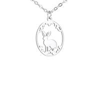 HXFFXHF Accessori per Gioielli per Ragazze Collana per Donne, Animali Ellisse Hollousse Cinetto Serie di Uccelli di Coniglio NAGATURA Catera - NOCCOLA CAMPARE di Rabbi