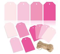 Hxhsgmeh 120 Pezzi Etichette Regalo in Terracotta 4 Etichette Appese a Colori Tinta Unita Gradiate con Corda di Bulk Etichette di Carta Vergine Colorata, Rosa