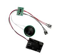 Hxhsgmeh Chip di registrazione vocale fai da te per biglietto di auguri, modulo audio registrabile a batteria secca, registrazione sensibile alla luce, lettura di una sola volta