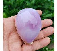 HXSCOO 6-7CM Viola Corniola Ciprea Conchiglie di Mare Naturale Artigianato Fai da Te Lumaca Regalo Spiaggia Decorazione di Nozze Oceano Gioielli costieri