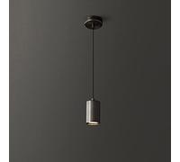 HXYSXHJUO Piccola Lampada a Sospensione per Interni a Testa Singola H65 Corpo Lampada in Ottone Lampadario antiruggine L'altezza del Filo di Sospensione è Regolabile Luci da soffitto per neg