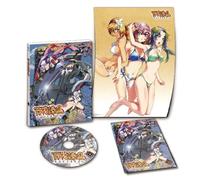 HYAKKA RYOURAN SAMURAI BRIDE 5