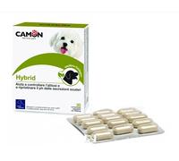 Hybrid 30cpr