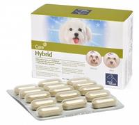 Camon Orme Naturali Hybrid 60 Compresse 1300 Mg