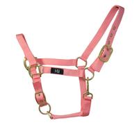 HyCavezza per Cavallo (BZ311)