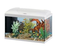 Hydor Acquario 60 Litri in Vetro per Pesci Tropicali o d'Acqua Dolce, include: Filtro 3 stadi per Acqua Cristallina, Lampada LED e Riscaldatore, 60 x 31,5 x h 39,5 cm. Bianco