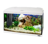 Hydor Acquario 60 Litri in Vetro per Pesci Tropicali o d'Acqua Dolce, Include: Lampada LED, Filtro Interno a 2 stadi per acqua cristallina, Riscaldatore, 60 x 31,5 x h 39,5 cm. Bianco