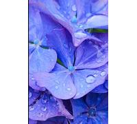 Hydrangea covered in Raindrops A5 Hardback Lined Glossy Notebook: Cottage Garden Gift, Blue Hydrangea Flower, Gardener Present Flower Stocking Filler