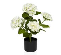 HYDRANGEA - Piante artificiali Verde/Bianco