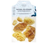 Hydrea London Kit di spugne naturali per pittura artistica, da fine a larga, set