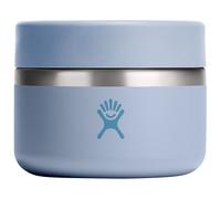 Hydro Flask - Insulated Food Jar - Contenitori per alimenti 591 ml grigio