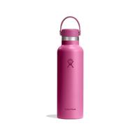 Hydro Flask Borraccia Hydration Standard Flex Cap 621 ml reef (TAS034523)