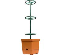 Hydrofarm GCTT Pianta Pomodoro con Torre, 90 cm