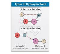 Hydrogen Bonds Chart Types Intermolecular Intramolecular Chemistry Educational Poster for Science Study(Framed,12x18inch(30x45cm))