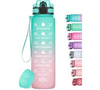 HydroPal Borraccia 1 Litro, Borraccia Bambina con Palestra Motivazionale, 1l Borraccia Personalizzata con Orari per Bere, senza BPA, Borracce a Prova Di Perdite per Palestra (Verde e rosa)