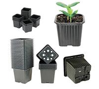 HYDROPLANETE Vasi per Piate Piccoli - Disponibili in 3 Diverse Misure 7x7 8x8 9x9 cm - Made in France - Lotto di 24, 50, 100 o 1000 Pezzi - Vasi in Plastica Riutilizzabili per Germogli e Piantini