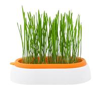 Hydroponic Cat Grass Cup - Germ Shell Fioriere, facili da carriera | per animali domestici utili per cani da gatto Altri animali digestione Palla per capelli