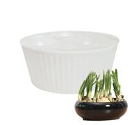 Hydroponic Plant Pots For Indoor - 3 Hole Daffodil Planter | Planting Container | For Apartment Office Teachers Seniors Beginners Indoor Windowsill Kitchen Bedroom Holiday Birthday Home Desk