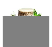 Hydroponic Wood Tree Stump - Brazil Natural Wooden Plant Ornament, Rustic Living Decor Display Piece | Serene Nature Inspired Styling Element For Indoor Workplace Home Nursery Balcony Spaces