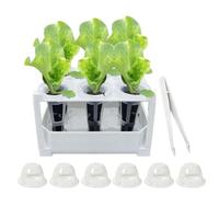 Hydroponics Growing System,13.4x9x9 cm Visible Non Slip Multi-Hole Container,Easy Monitoring Design Indoor Plant Growing System - For Vegetable Plant Office Balcony Garden Patio Watering Seedling