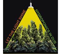 Hydroponics Let the Light Shine (Vinyl LP) 12" Album Coloured Vinyl
