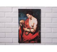 Hygeia, Dea della Salute di Peter Paul Rubens, stampa su tela avvolta in gall...