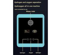 HYHACYH Macchina per Terapia All'idrogeno Domestica da 3000 Ml/Min, Inalatore di Idrogeno H2 Ad Alta Purezza al 99,99% a 3 Porte, Generatore di Idrogeno White