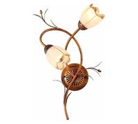HYHJYMG Lampada American Creative Flowers a Doppia Testa in Vetro Lampade per Parete Pastoral Pastorale Soggio