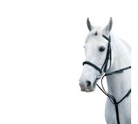 HyMarket Harborough Testiera per Cavallo (BZ363)