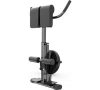 Hyperextension Bench - Sedia romana per palestra domestica, schienale regolabile e disco torcente per allenamento della schiena