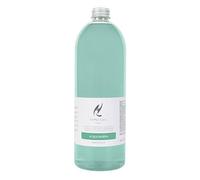 Hypno Casa - Ricarica 1000 Millilitri per Diffusori a Bastoncini (Acqua Marina)