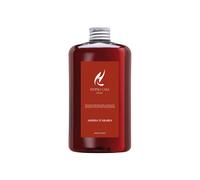 HYPNO CASA RICARICA 500 ML AMBRA D'ARABIA