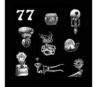 Hypnobirds - 77: A Brief Landing On The Earth's Surface