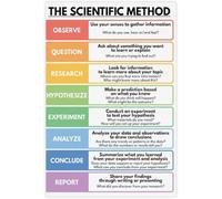 Hypothesis Testing Flowchart Poster Science Learning