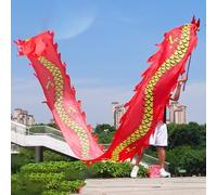 HYQING Dragon Poi Fitness, Nastro da Lancio a Forma di Drago con Testa in Acciaio, Leggero, Set di Accessori for Danza/Giocoleria for Ragazzi, Adulti e Anziani.(Red,8 m (26 ft))